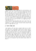 [MIS] 실시간 건강관리 시스템 실버칩(SILVER CHIP)-9