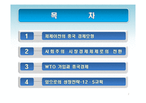 [경제학] 중국의 경제체제 전환 모형-사회주의 시장경제체제로의 전환과 성장전략-2