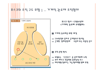 [경영학] 포스코 조직구조 변화분석-5