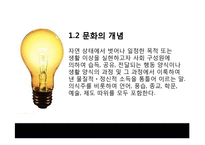[소비자의사결정론] 의사결정에 영향을 주는 요인-종교 및 문화에 따른 의사결정과 그 사례 조사(1)-8