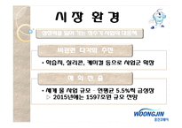 [마케팅] 웅진코웨이의 마케팅 전략 분석-청호나이스와 비교분석-15