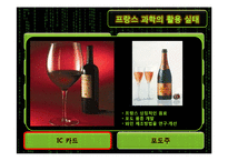 [관광정책론] 프랑스의 과학기술과 활용현황-20