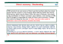 [재무관리] 경제 아티클 번역-Portugal`s government collapses The next domino, China`s economy Decelerating-19