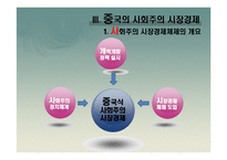 [경제학] 중국의 시장경제체제 전환모형-9