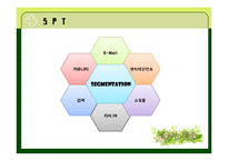 [마케팅전략] 네이버의 SWOT, STP마케팅 믹스, 성공요인과 발전방향-17