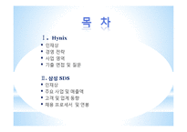 [경영정보] 삼성SDS와 하이닉스 기업분석-2