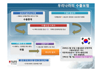 [국제보험론] 국가별 수출보험 비교-한국, 일본, 미국, 중국, 유럽-6