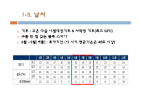 [레저심리학] 여름 휴양지로써의 두바지 여행정보 조사-8