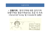 [인간심리학] 기억과 망각-10