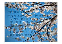 [행정학] 한강 여의도 봄꽃 축제 분석-4