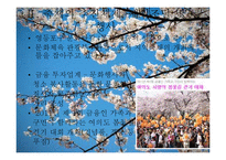 [행정학] 한강 여의도 봄꽃 축제 분석-8