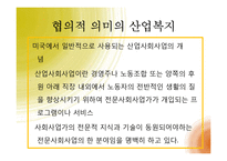 [사회복지] 산업사회 복지와 사회복지의 중거시적 관점-5