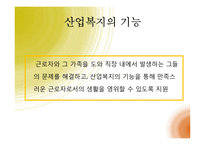[사회복지] 산업사회 복지와 사회복지의 중거시적 관점-6
