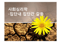 [사회심리] 집단내갈등과 집단간 갈등-1