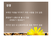 [사회심리] 집단내갈등과 집단간 갈등-3