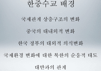 [국제정치] 전략적 협력동반자로써의 한중관계 고찰-이명박 정부의 대중외교정책을 중심으로-3