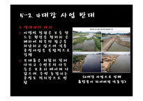 4대강 사업에 대한 찬반토론-반대입장-16