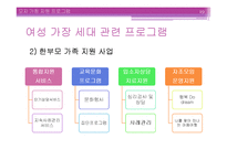 [사회복지] 여성 및 성인 프로그램 개발 및 평가-19