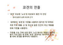 [일본대중문화] 일본의 무대예술과 그 공통점-20