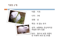 [환경학] 방사능 유출로 인한 환경오염문제-2