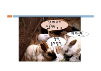 [환경학] 방사능 유출로 인한 환경오염문제-3