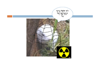 [환경학] 방사능 유출로 인한 환경오염문제-5