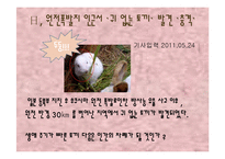 [환경학] 방사능 유출로 인한 환경오염문제-6