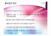 [영양학개론] 콜라겐과 골다공증-3