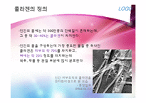 [영양학개론] 콜라겐과 골다공증-4