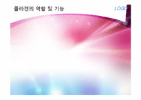 [영양학개론] 콜라겐과 골다공증-5