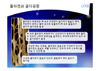 [영양학개론] 콜라겐과 골다공증-12