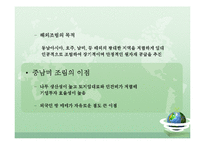 [환경학] 해외조림사례-우루과이 조림사업의 현황과 실태-4
