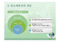 [환경학] 해외조림사례-우루과이 조림사업의 현황과 실태-10