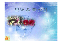 [식품가공학] 백년초를 이용한 탄산음료 제품 개발 실습-1