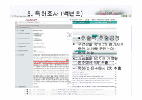 [식품가공학] 백년초를 이용한 탄산음료 제품 개발 실습-11