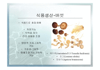 [식품가공학] 균류의 식품가공 산업의 이용현황-식품가공, 저장, 발효, 양조 등-5