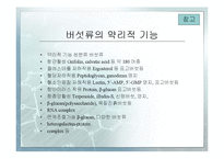 [식품가공학] 균류의 식품가공 산업의 이용현황-식품가공, 저장, 발효, 양조 등-8