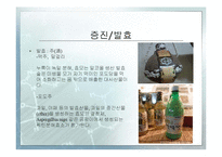 [식품가공학] 균류의 식품가공 산업의 이용현황-식품가공, 저장, 발효, 양조 등-10