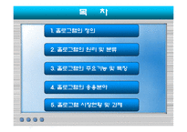 [컴퓨터공학] 홀로그램의 원리 및 응용 현황과 미래-2
