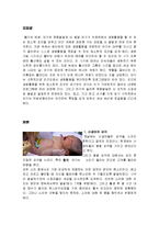 [간호학] 아기 성장 보고서-2