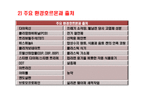 [간호학] 우리나라 확학물질관리 현황과 환경호르몬 피해사례 및 간호사의 역할-7