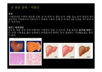 [성인간호] 한국인의 소화기계 문제 특성-20