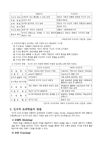 [교육방법및 교육공학] 인지적 도제학습-4