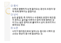 [아동 교육] 특수 아동의 이해-시각장애아동의 특성과 지도-14