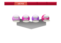 취업과 진로-더 후라이팬(The Frypan) 채용정보 조사-3