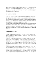 글로벌 비즈니스의 생성과 발전-4