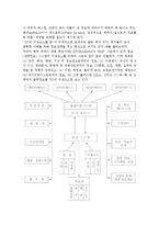 SIS의 정의와 구성요소, 발달배경 및 SIS 필요성-5