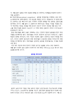 [글로벌 경영] 전략수립과정-4