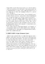 경영혁신의 기법) 경영혁신기법의 특성과 분류 및 통합모델-15