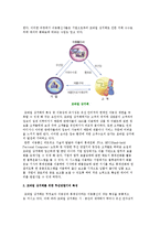 모바일 상거래의 성장배경과 제한요소, 모바일상거래 사례-3
